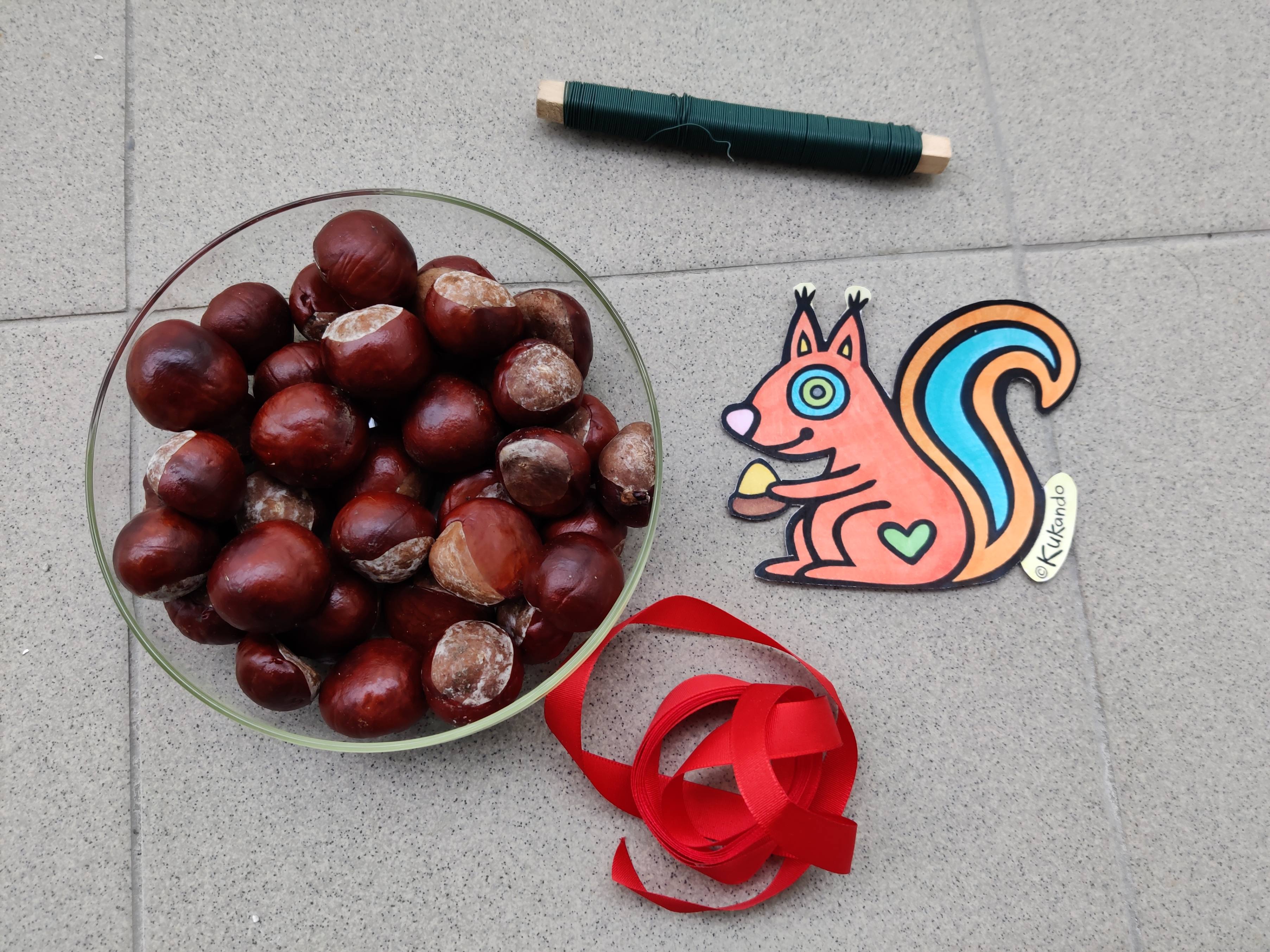 pomůcky pro výrobu věnečku s veverkou